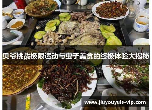 贝爷挑战极限运动与虫子美食的终极体验大揭秘