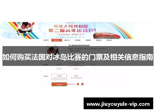 如何购买法国对冰岛比赛的门票及相关信息指南